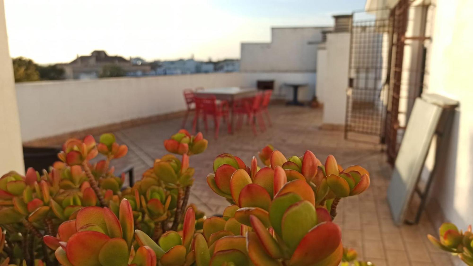 Atardeceres Surenos - Gran Terraza - Parking Jerez de la Frontera Exterior foto